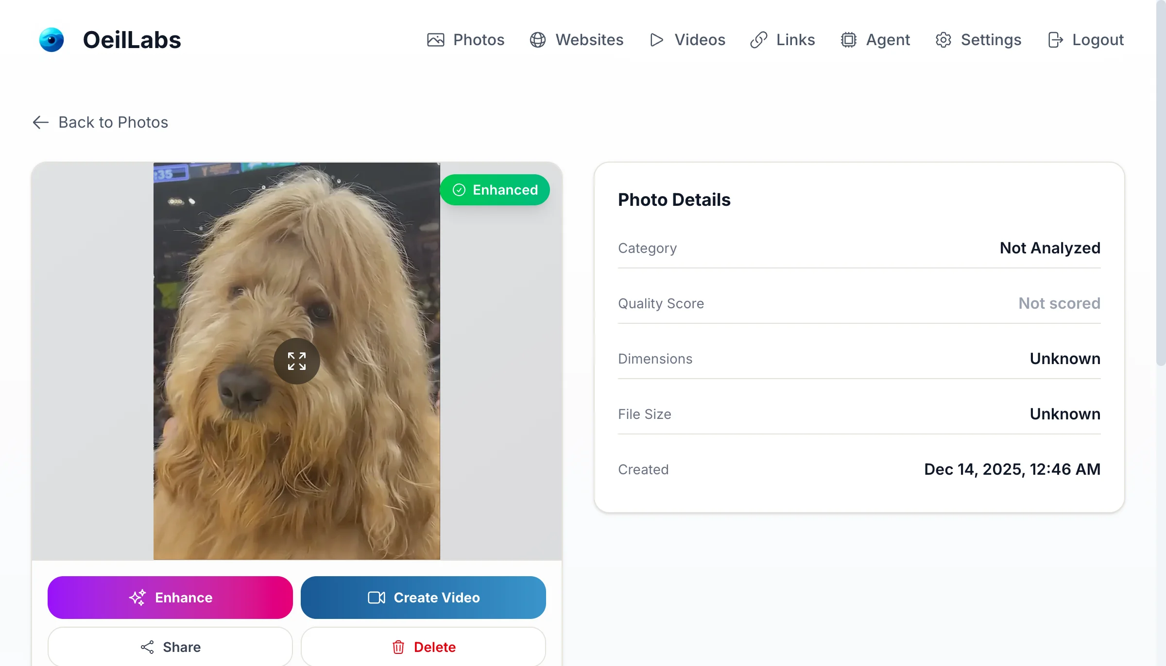 Photo Detail - AI analysis and enhancement options
